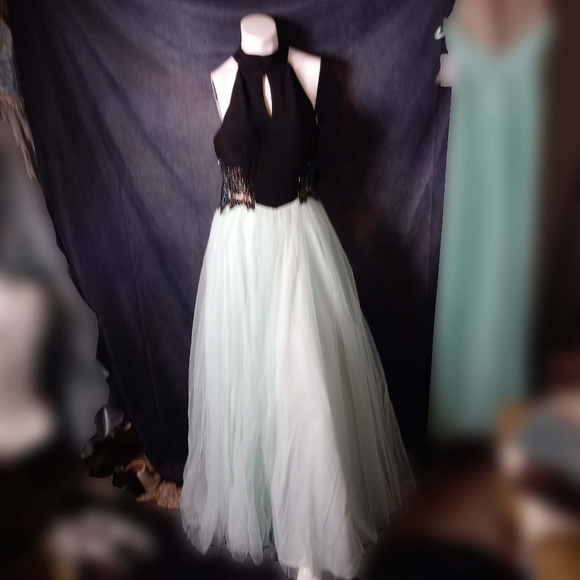 Blondie nites Prom gown - Picture 1 of 5